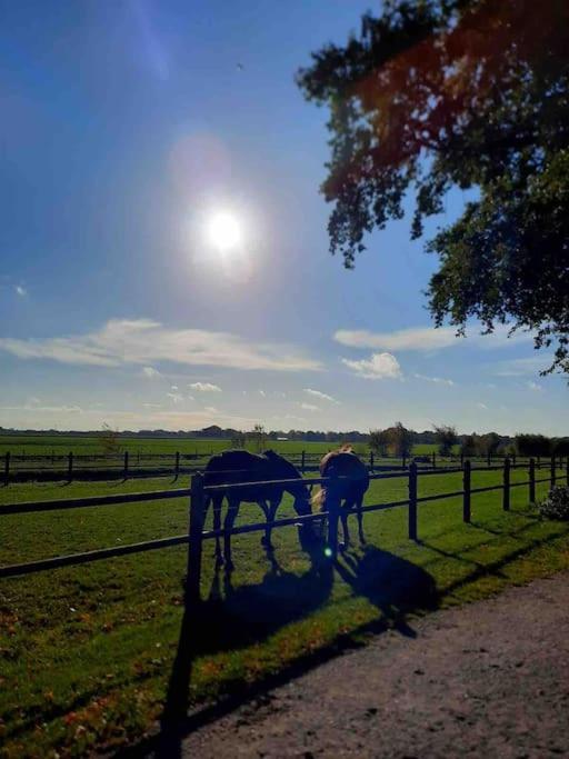 Linderhuisje, Rust, Ruimte, Privacy En Natuur Exterior foto